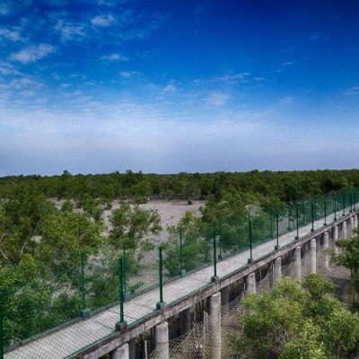 DOBANKI CANOPY WALK